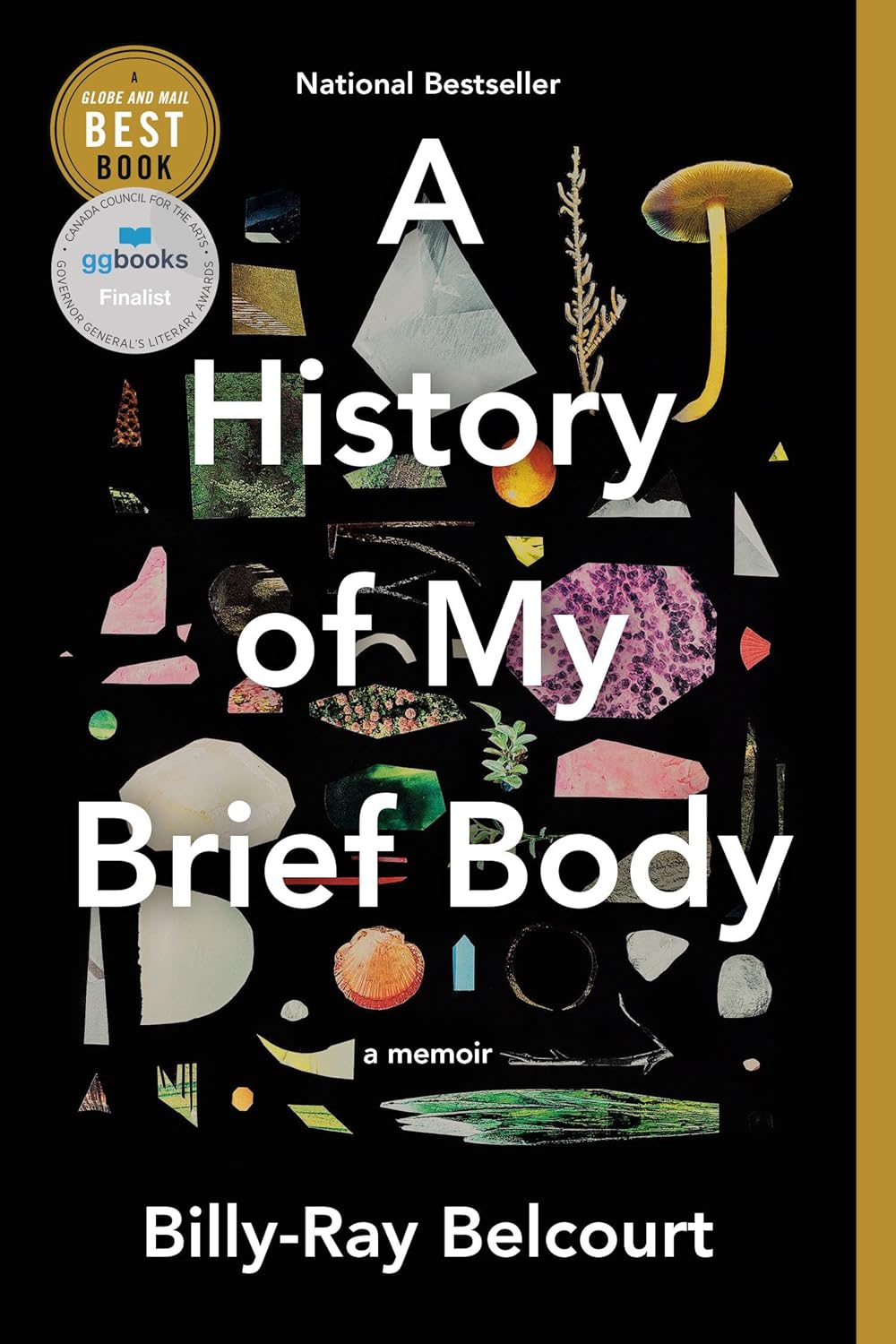 HISTORIA BREVE DE MI CUERPO