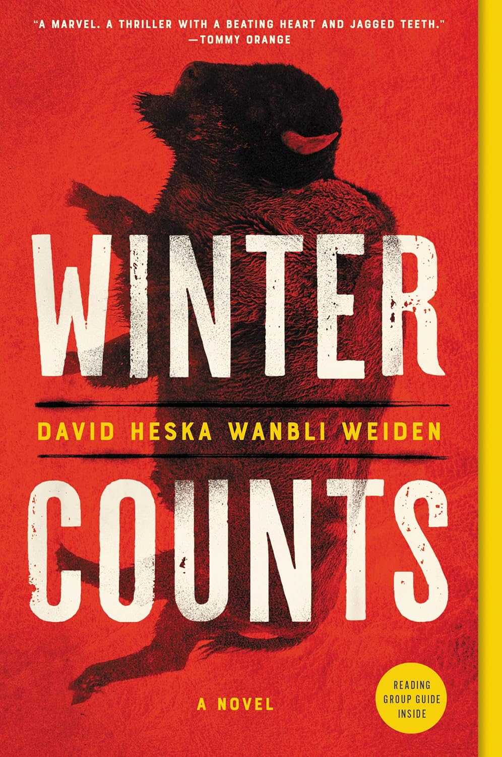 Cuentas de invierno: Una novela