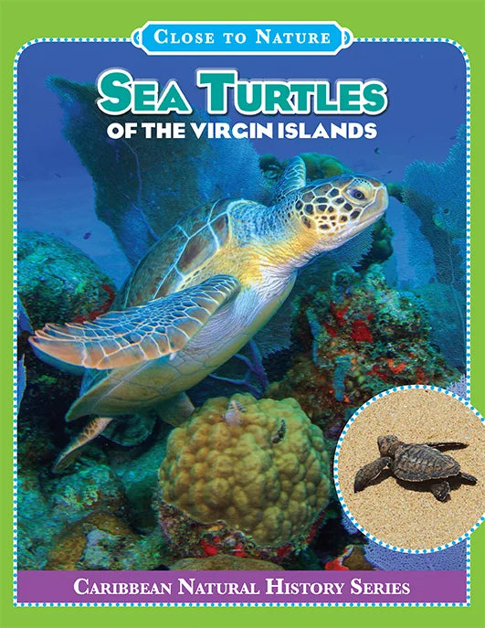 Sea Turtles of the Virgin Islands